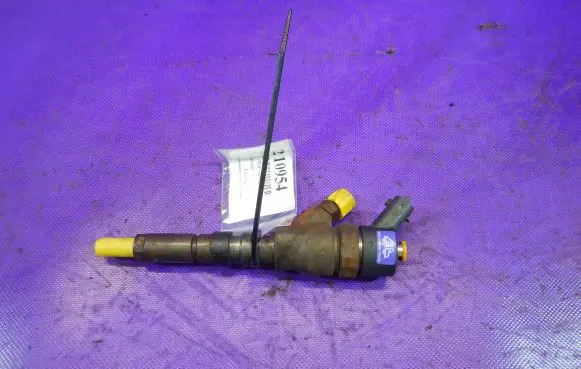 Citroen C5 Fuel injector 0445110076