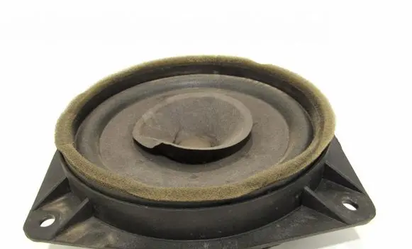 Rear door speaker