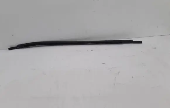 Rear door trim (molding)