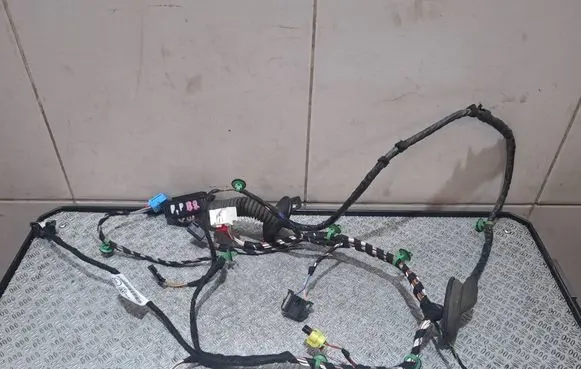 Volkswagen PASSAT B8 Front door wiring loom/harness boot 3G1971121DK