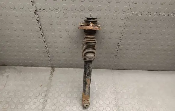 BMW X5 E53 Rear shock absorber/damper 6750361