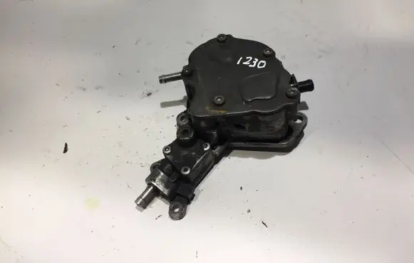 Audi A4 S4 B6 8E 8H Vacuum pump