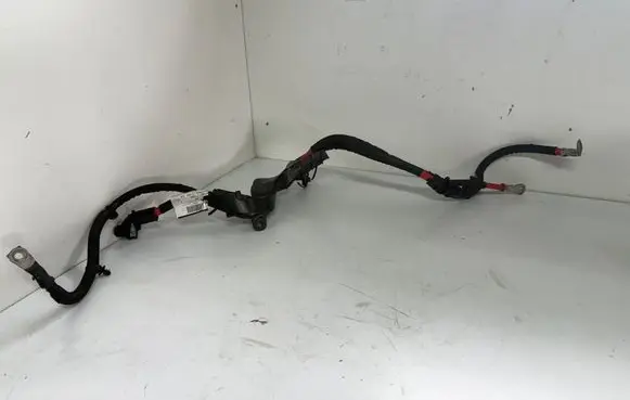 Positive wiring loom