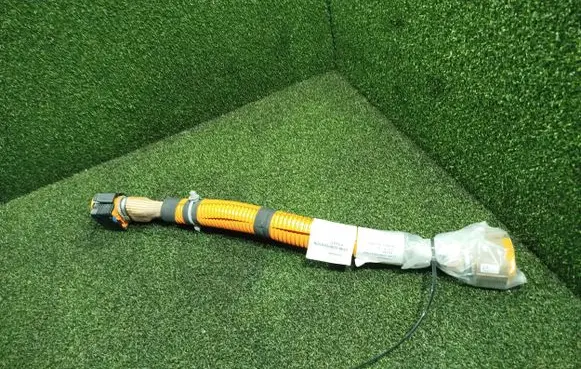 Renault Kangoo III Other wiring loom 240808083R 1825L1 F126010H
