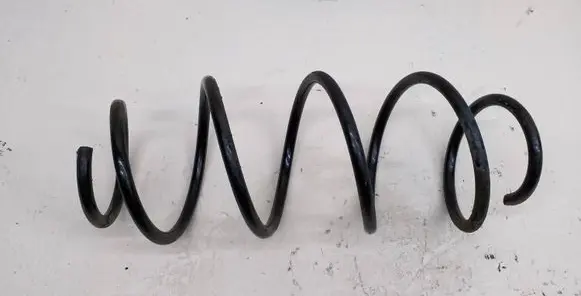 Front coil spring