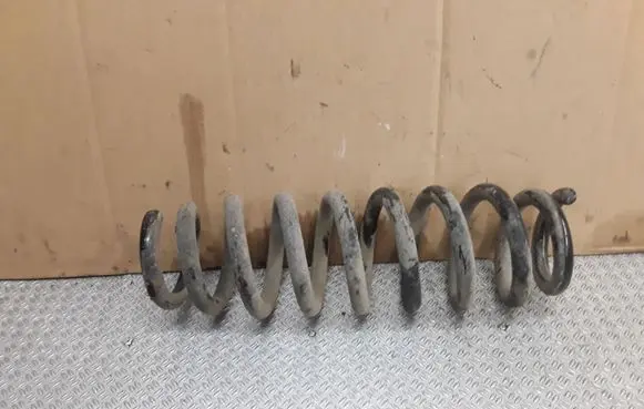 Rear coil spring