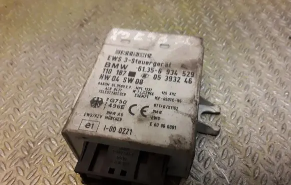 BMW X5 E53 CAS control unit/module 6934529