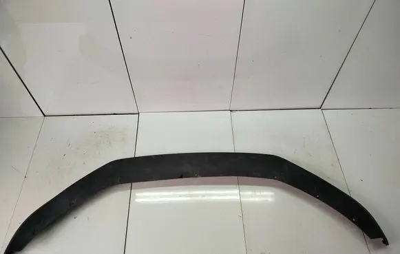 Porsche Panamera (971) Front bumper 971807541