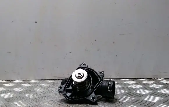 Thermostat/thermostat housing