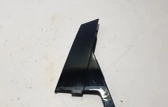Renault Arkana Rear door trim (molding) 822343033R