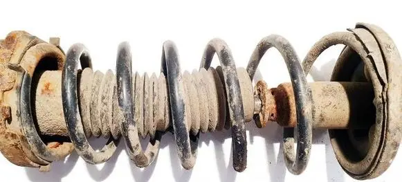 Mazda Premacy Rear coil spring 