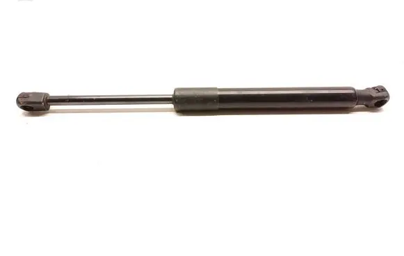 Tesla Model 3 Tailgate strut 1091560-00-B
