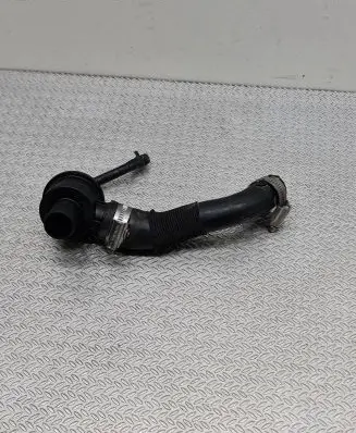 Dacia Sandero Breather valve 3028024