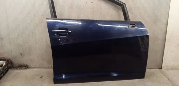 Seat Ibiza IV (6J,6P) Front door 