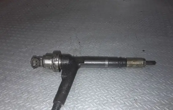 Opel Meriva A Fuel injector 8973138612