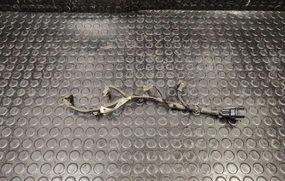 Peugeot 4008 Glow plug wires 8541B800