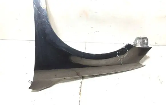 Fender