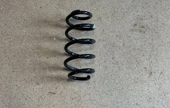Rear coil spring