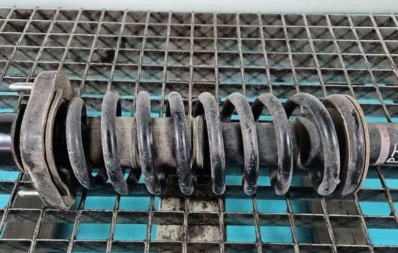 Rear coil spring