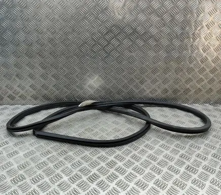 Lexus RX V Rubber seal front coupe door 6231248120