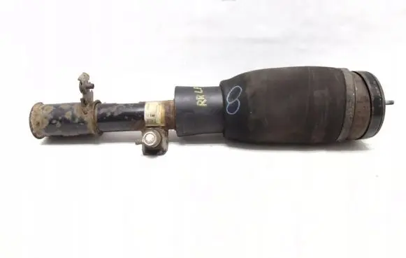 Land Rover Range Rover L322 Front air suspension shock absorber 22195629