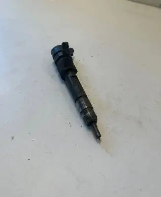 Renault Scenic II - Grand scenic II Fuel injector 0445110230