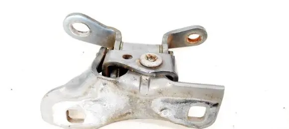 Chrysler 300 - 300C Rear door lower hinge