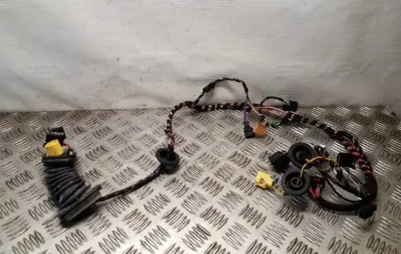 Front door wiring loom