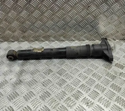 Citroen C4 II Rear shock absorber/damper 9841379480