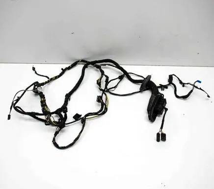 Front door wiring loom