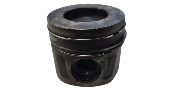Opel Antara Piston 