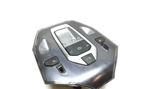 Citroen DS5 Front seat light 96702429XT 2461 N100300