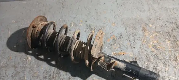 Ford S-MAX Front shock absorber/damper