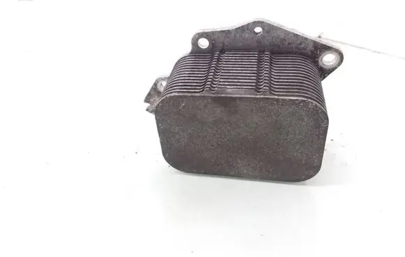 Oil filter mounting bracket