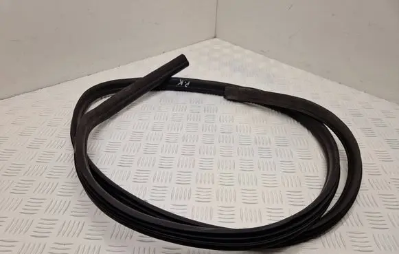 Dacia Duster Front door rubber seal