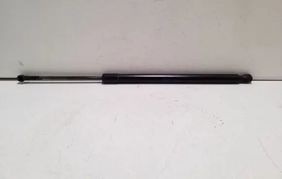 Tailgate/trunk strut/damper