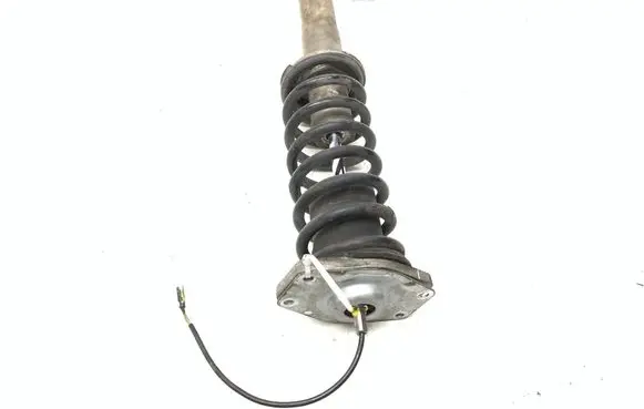 Maserati Quattroporte Rear shock absorber with coil spring 226149