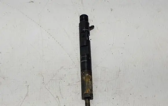Renault Megane III Fuel injector 8200794299