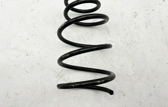 Ford Mustang V Front coil spring 35125001