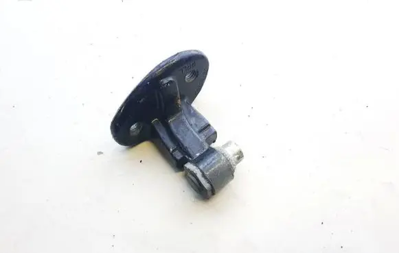 Volvo V50 Rear door lower hinge 30784893
