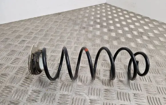 Rear coil spring