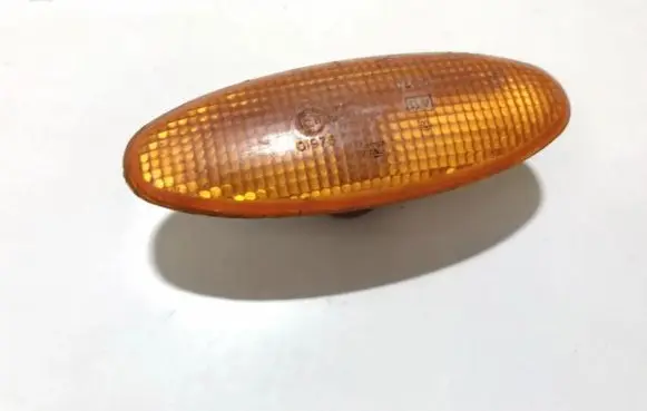 Front fender indicator light