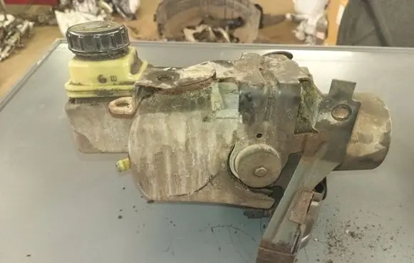 Renault Laguna III Power steering pump 491109313r