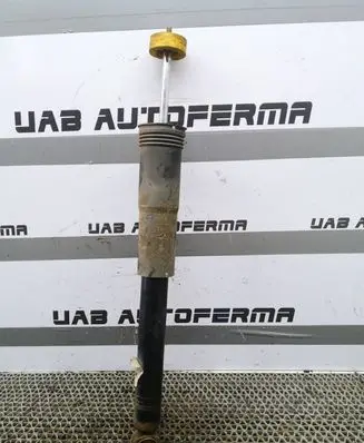 Volkswagen Tiguan Rear shock absorber/damper 5QF513049