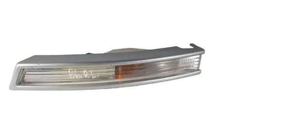 Volkswagen PASSAT B6 Front indicator light 3C0953041L