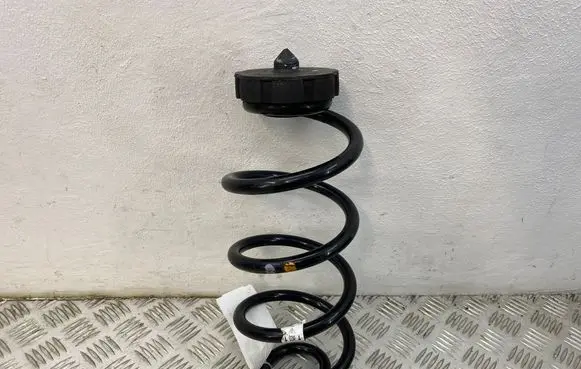 Rear coil spring