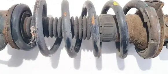 Citroen C5 Rear coil spring