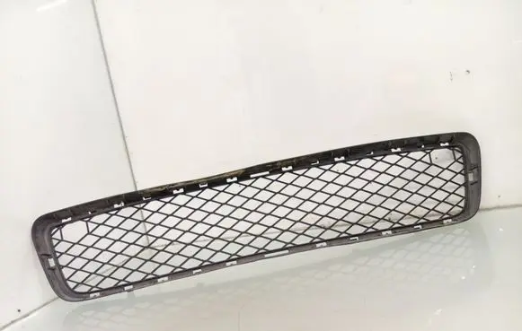 BMW X5 E70 Front bumper lower grill 7163956