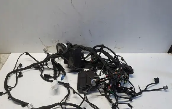 Nissan Juke II F16 Engine installation wiring loom 240126pf2a