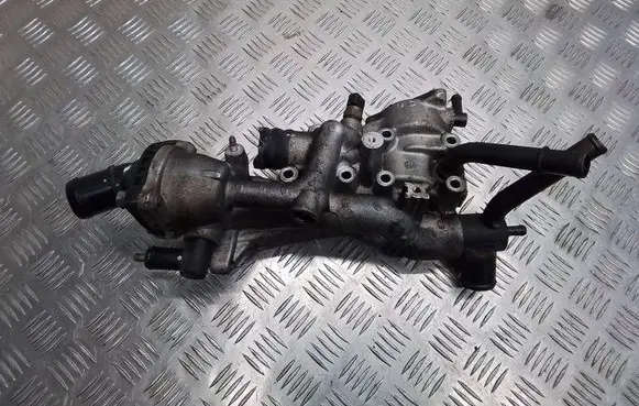 Thermostat/thermostat housing